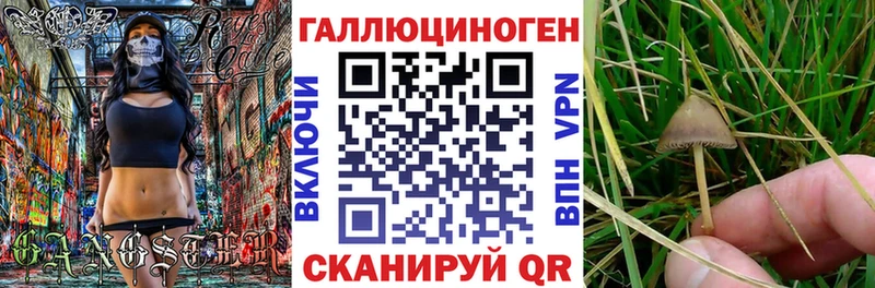 Галлюциногенные грибы мицелий  Бахчисарай 